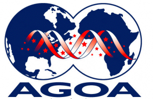 African Growth and Opportunity Act o AGOA cooperazioen USA AFRICA