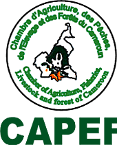 capef chamber of agriculture of cameroon