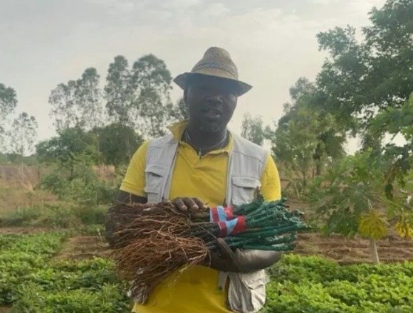 Un vigneron toscan au Burkina Faso